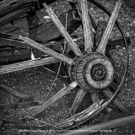 3rd Place Digital B&W Advance Class by Michael Greiner - Spokes No. 2.jpg