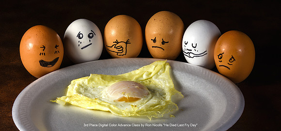 3rd Place Digital Color Advance Class by Ron Nicolls - He Died Last Fry Day.jpg