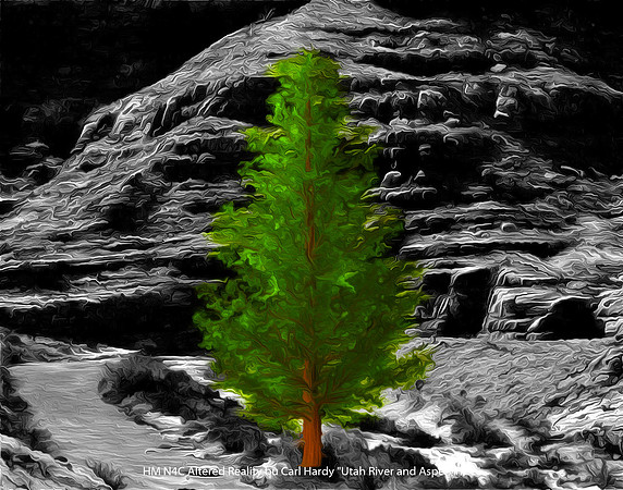 HM N4C Digital Altered Reality by Carl Hardy - Utah River and Aspen Tree.jpg
