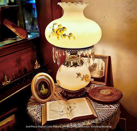 2nd Place Digital Color Entry Level by Cthy Anderson - Evening Reading.jpg