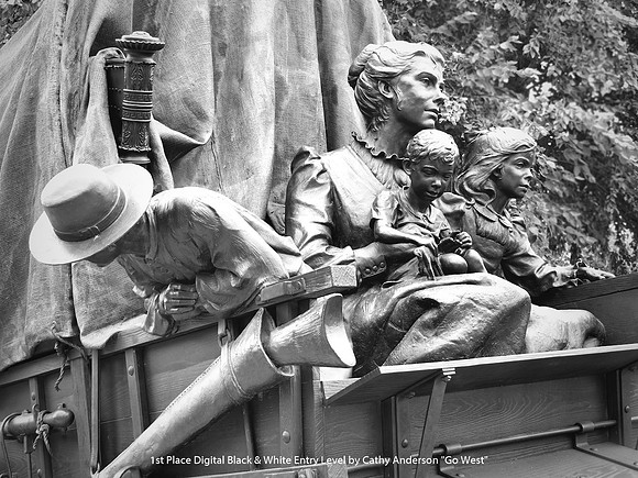 1st Place Digital B&W Entry Level by Cathy Anderson - Go West.jpg