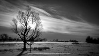 2nd Place Digital B&W By Randy Williams - "Below Zero"