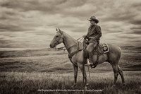 HM Digital B&W By Michael Greiner - "Pretty Cowpoke"