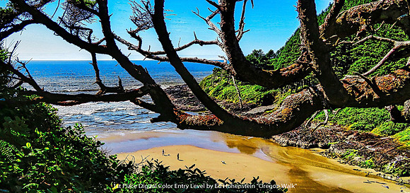 1st Place Digital Color Entry Level by Ed Hohenstein - Oregon Walk
