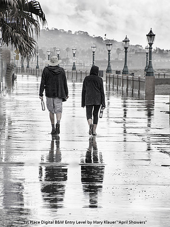 1st Place Digital B&W Entry Level by Mary Klauer - April Showers