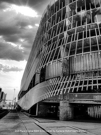 2nd Place Digital B&W Entry Level by Karlene Hohenstein
