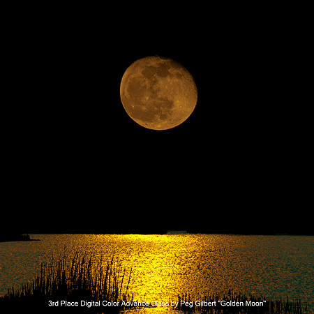 3rd Place Digita; Color Advance Class by Peg Gilbert - Golden Moon