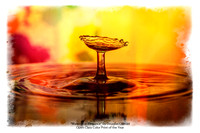 Waterdrop Elegance by Douglas Conrad