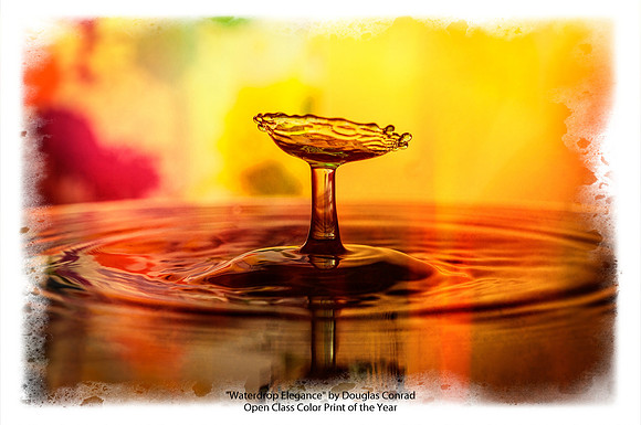 Waterdrop Elegance by Douglas Conrad