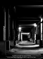 Auxiliary Arcade by Teresa Hebert