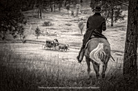 1st Place Digital B&W Advance Class by Douglas Conrad - Ambush.jpg