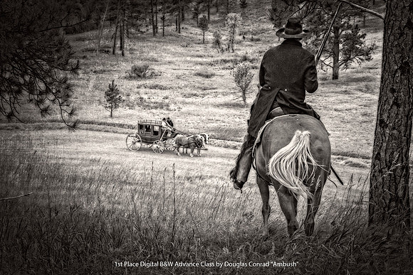 1st Place Digital B&W Advance Class by Douglas Conrad - Ambush.jpg