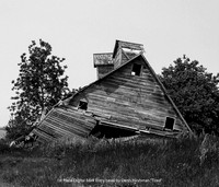 1st Place Digital B&W Entry Level by Denis Hirshman - Tired.jpg