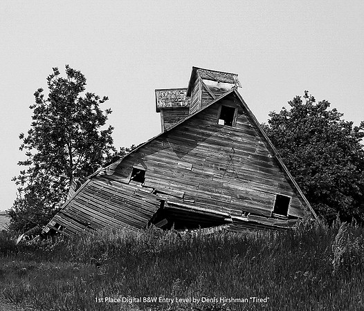 1st Place Digital B&W Entry Level by Denis Hirshman - Tired.jpg