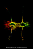 HM Color Print by Douglas Conrad - Dancing Pappus.jpg
