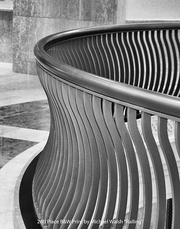 2nd Place B&W Print by Michael Walsh - Railing.jpg
