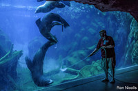 RON_4329-S.jpg