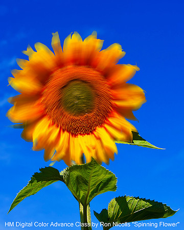 HM Digital Color Advance Class by Ron Nicolls "Spinning Flower"