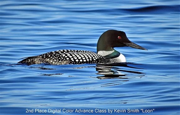 2nd Place Digital Color Advance Class by Kevin Smith "Loon"