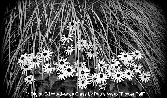 HM Digital B&W Advance Class by Paula Warp "Flower Fall"