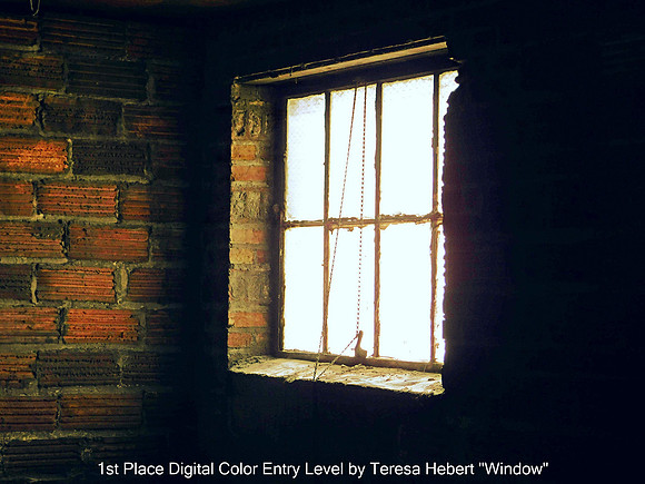 1st Place Digital Color Entry level by Teresa Hebert "Window"