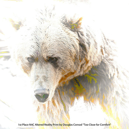1st Place N4C Altered Reality Print by Douglas Conrad - Too Close For Comfort.jpg