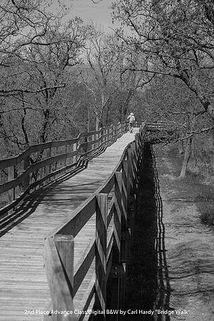2nd Place Advance Class Digital B&W by Carl Hardy - Bridge Walk.jpg