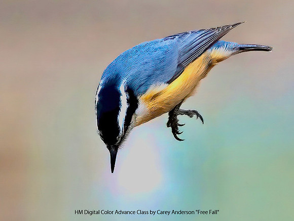 HM Digital Color Advance Class by Carey Anderson - Free Fall (1 of 1).jpg