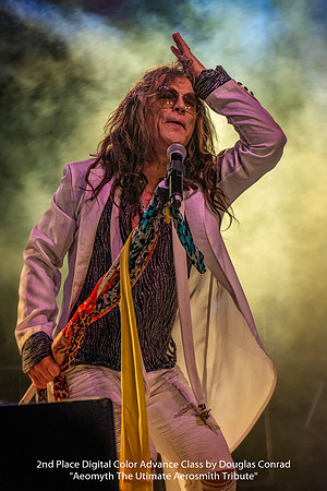 2nd Place Digital Color Advance Class by Douglas Conrad - Aeomyth The Ultimate Aerosmith Tribute.jpg