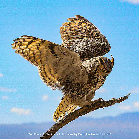 2nd Place Digital Color Entry Level by Denis Hirshman - Lift Off.jpg