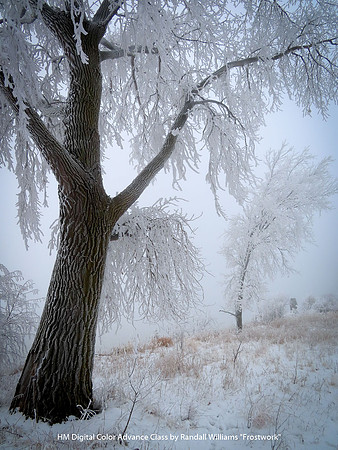 HM Digital Color Advance Class by Randall Williams - Frostwork.jpg
