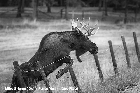 2nd Place Digital B&W By Mike Griener, "Don't Fence Me In"