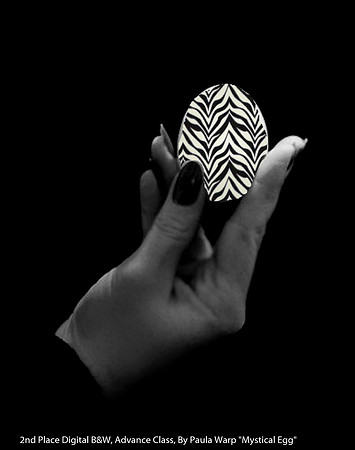 2nd Place Digital B&W Advance Class By Paula Warp - "Mystical Egg"
