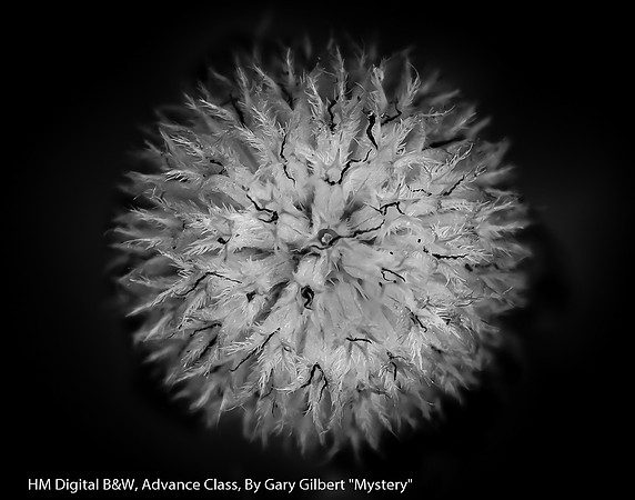 HM Digitl B&W Advance Class By Gary Gilbert - "Mystery"