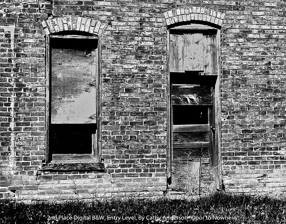 2nd Place Digital B&W Entry Level By Cathy Anderson - "Door to Nowhere"