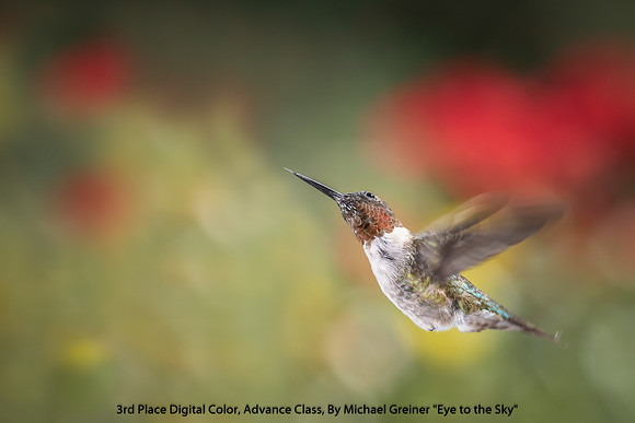 3rd Place Digital Color Advance Class By Michael Greiner - "Eye to the Sky"