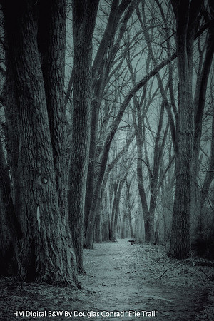 HM Digital B&W By Douglas Conrad "Erie Trail"