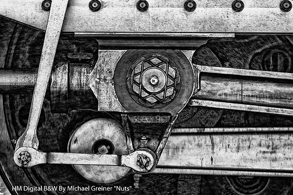 HM Digital B&W By Michael Greiner "Nuts"