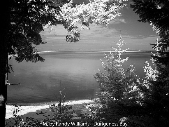 HM, by Randy Williams, "Dungeness Bay"