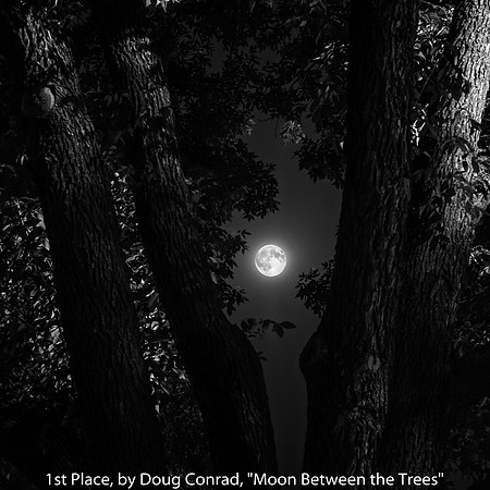 1st Place, by Doug Conrad, "Moon Between the Trees"