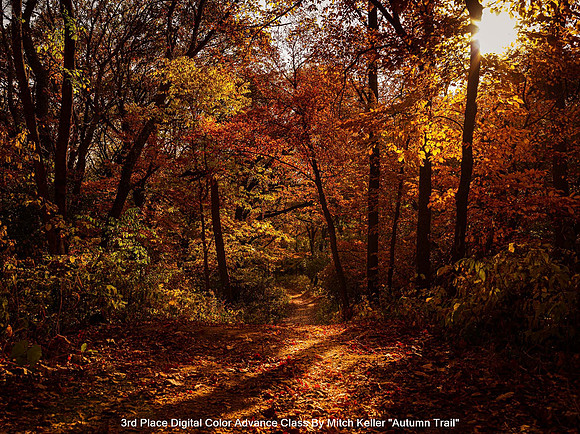 3rd Place Digital Color Advance Class by Mitch Keller - Autumn Trail
