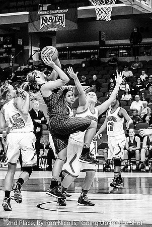 2ND PLACE, BY RON NICOLLS, "GOING UP FOR THE SHOT"