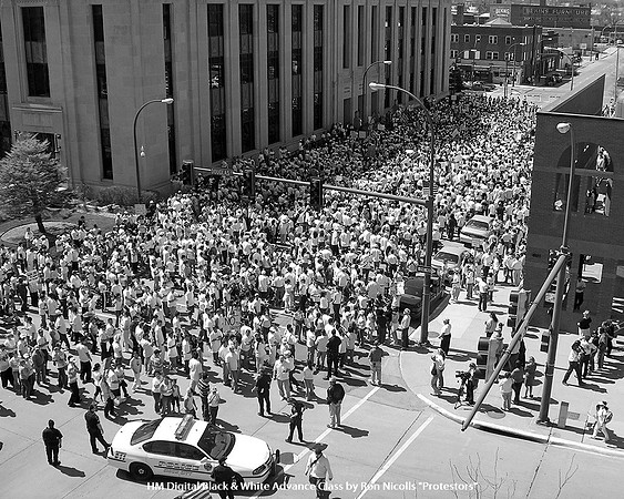 HM Digital B&W Advance Class by Ron Nicolls - Protestors