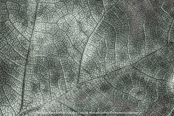 HM Digital B&W Advance Class by Michael Greiner - Cottonwood Highway