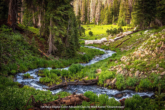 1st Place Digital Color Advance Class by Mark Karrer - Downstream