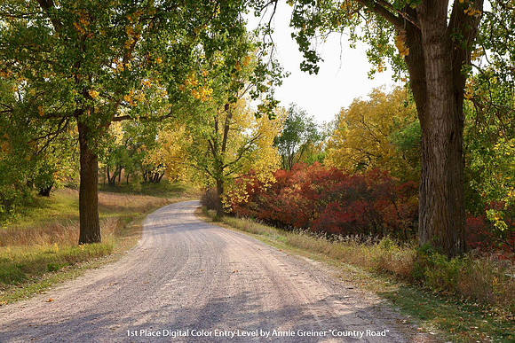 1st Place Digital Color Entry Level by Annie Greiner - Country Road