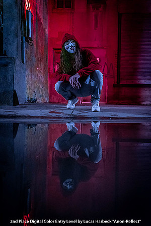 2nd Place Digital Color Entry Level by Lucas Harbeck - Anon-Reflect