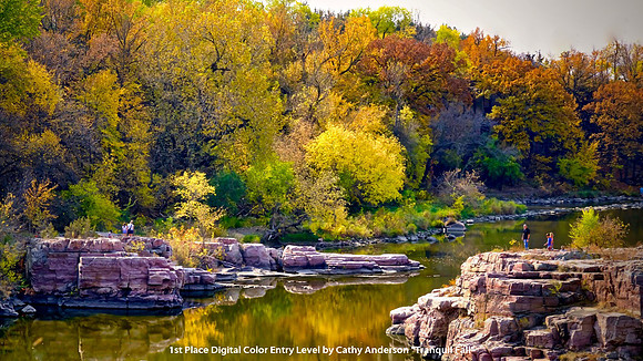 1st Place Digital Color Entry Level by Cathy Anderson - Tranquil Fall