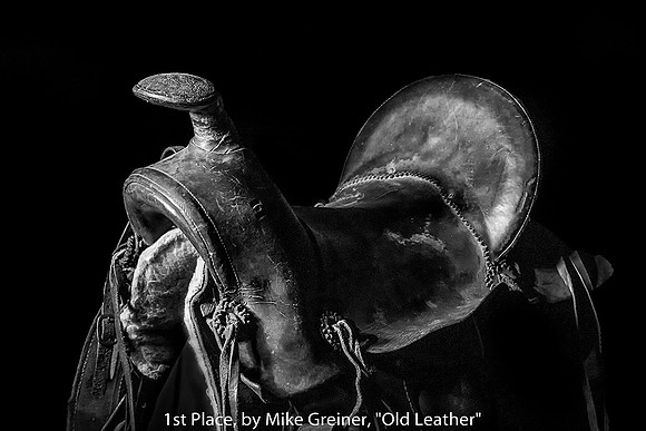 1ST PLACE, BY MIKE GREINER, "OLD LEATHER"