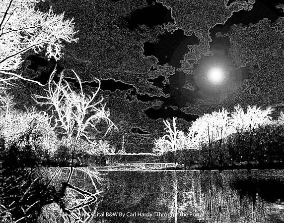 HM Digital B&W By Carl Hardy "Through The Portal"